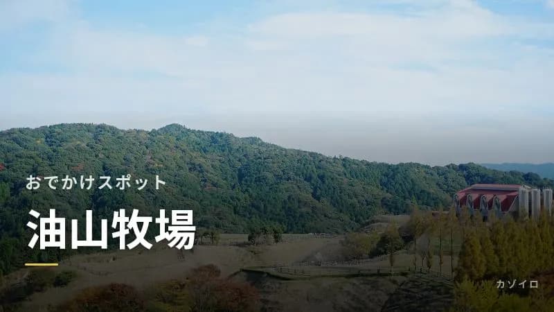 油山牧場は1歳児とのお出かけに最適｜福岡の親子スポットを徹底紹介