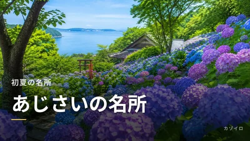 紫陽花（あじさい）の名所15選｜全国の見頃時期と絶景スポットを紹介