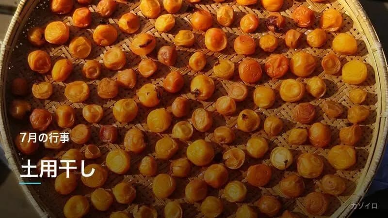 土用干しとは？意味・時期・梅干し・衣類の干し方をわかりやすく解説