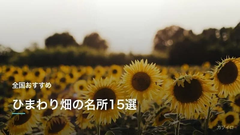 ひまわり畑の名所おすすめ16選｜全国の見頃時期と絶景スポットを紹介