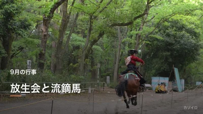 放生会とは？殺生を戒める仏教行事の由来・筥崎宮の流鏑馬の見どころを解説
