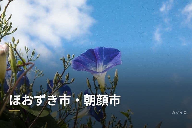 ほおずき市・朝顔市とは？意味・時期・楽しみ方をわかりやすく解説