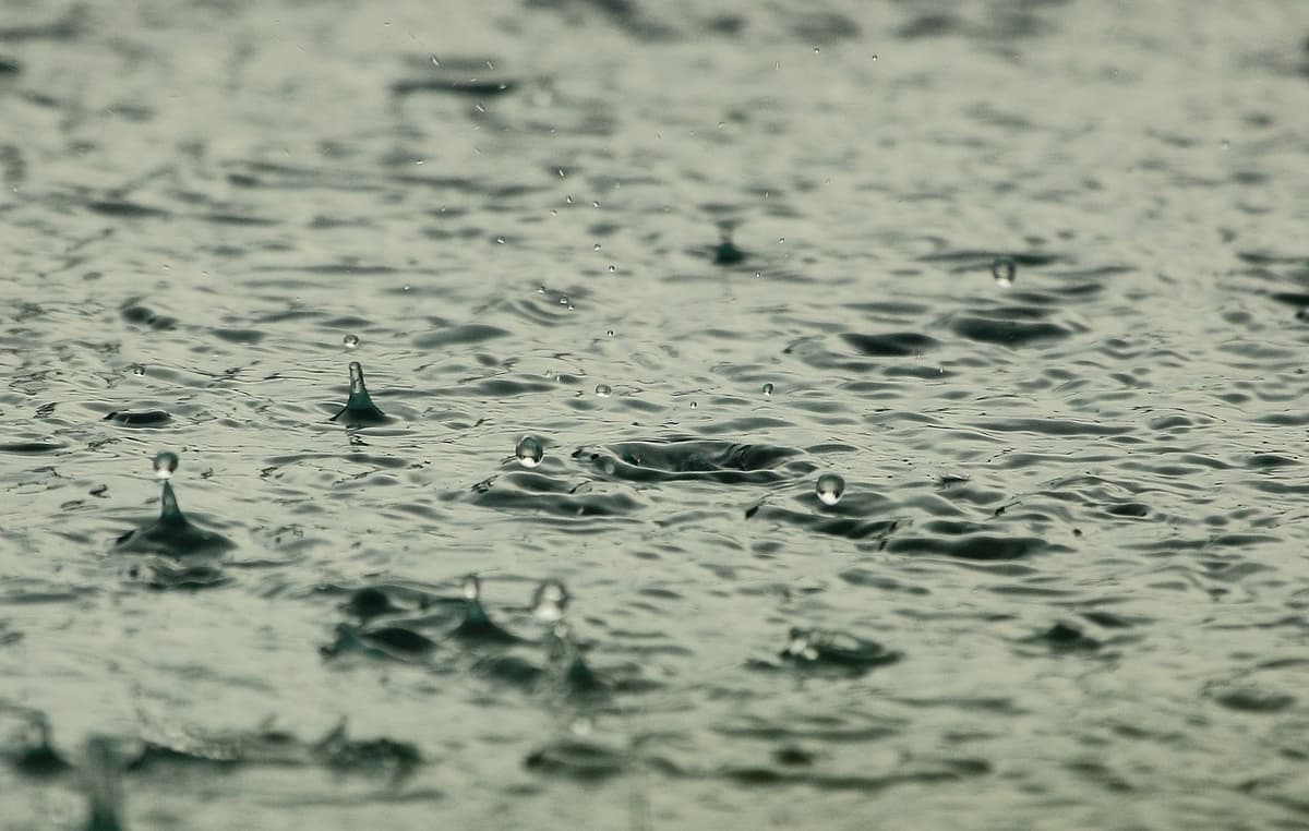 水面に落ちる雨粒の波紋