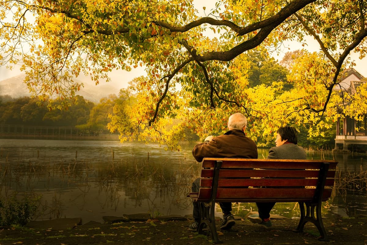 紅葉の湖畔のベンチに座る老夫婦の後ろ姿