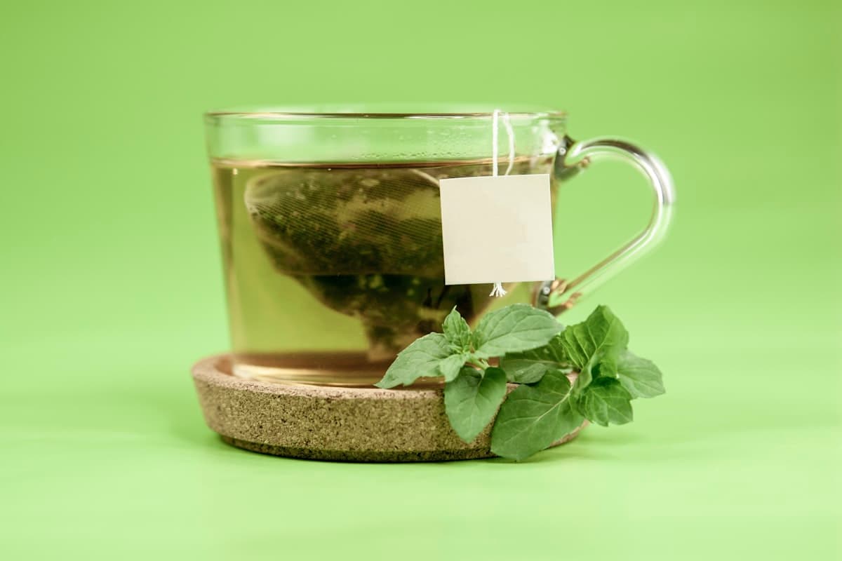 ティーバッグで淹れた緑茶とミントの葉