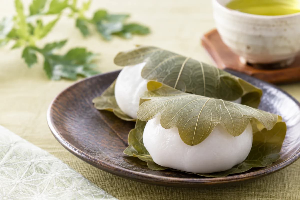 お皿にのせた柏餅と緑茶