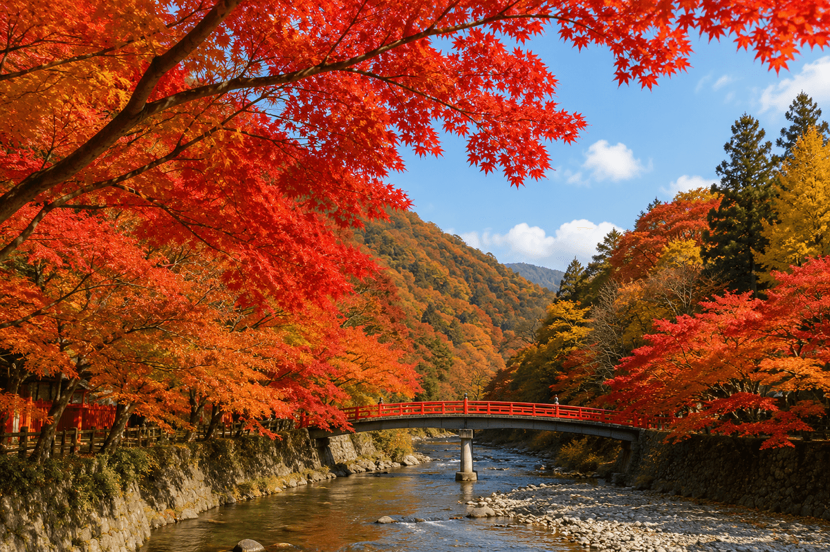 紅葉の名所