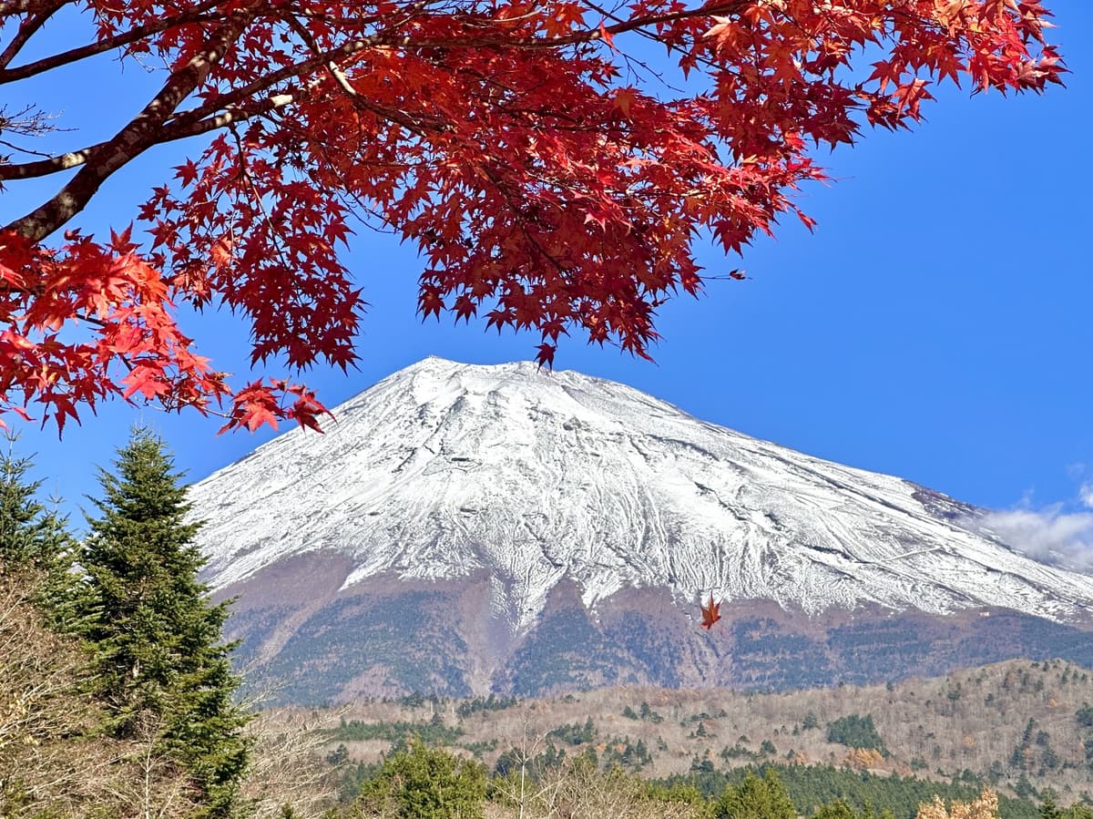 紅葉と富士山の秋の風景