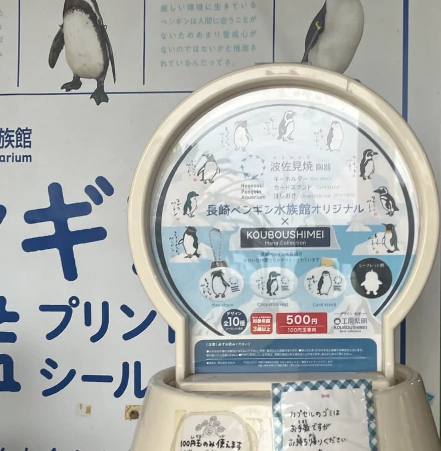 長崎ペンギン水族館オリジナルのガシャガシャ（ガチャガチャ）