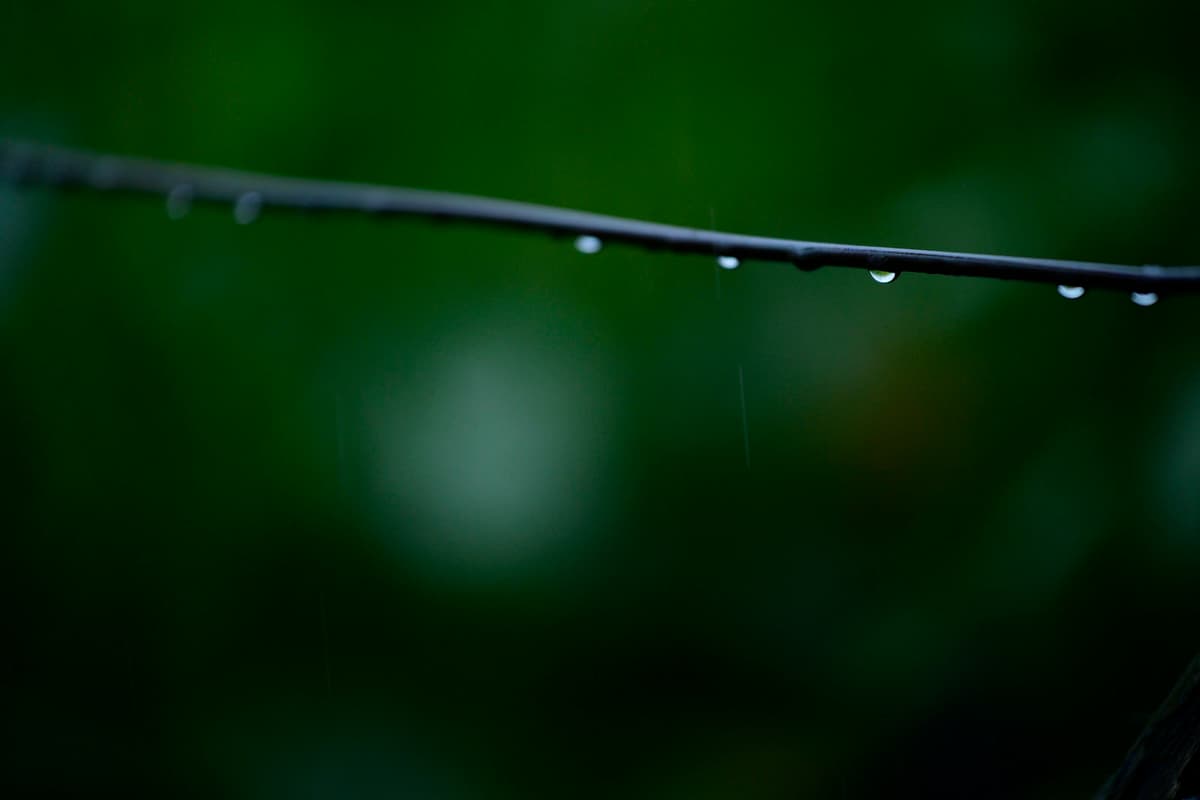 雨粒