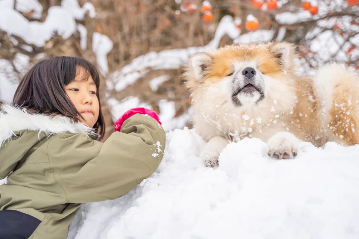 雪の中で犬と遊ぶ女の子