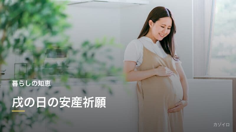 戌の日の安産祈願とは？時期・神社・服装・初穂料の相場をわかりやすく解説