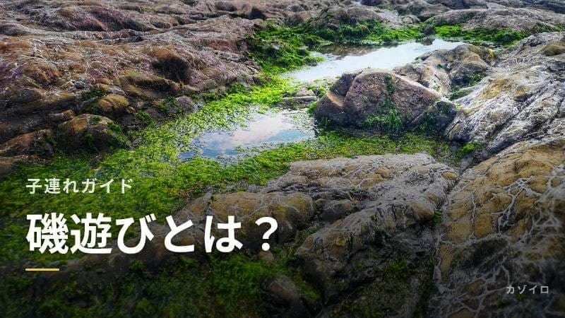 磯遊びの楽しみ方｜子連れの持ち物・服装・安全対策を解説のサムネイル画像