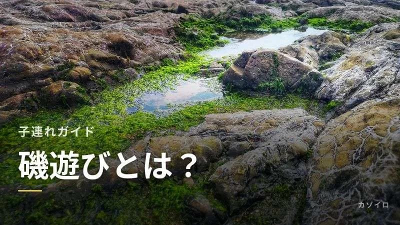 磯遊びの楽しみ方｜子連れの持ち物・服装・安全対策を解説