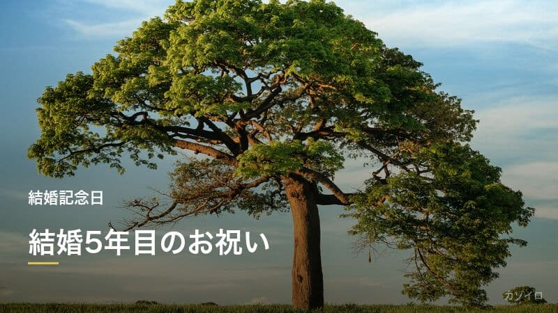 結婚5年目のお祝い（木婚式）｜意味・プレゼント・過ごし方