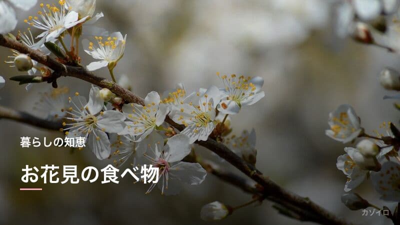 お花見の食べ物｜花見弁当・桜餅・三色団子の由来とお花見レシピを紹介