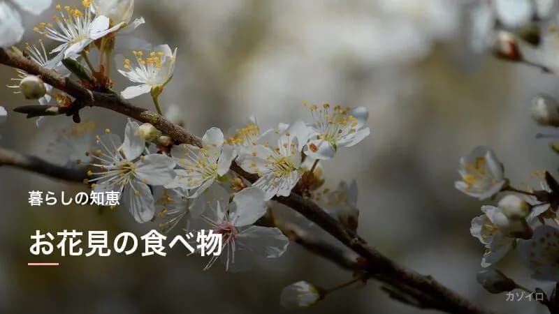 お花見の食べ物｜花見弁当の定番おかず・桜餅・三色団子の由来と簡単レシピ