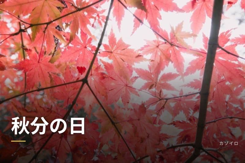 秋分の日とは？2026年はいつ？意味・お彼岸・食べ物の風習を解説