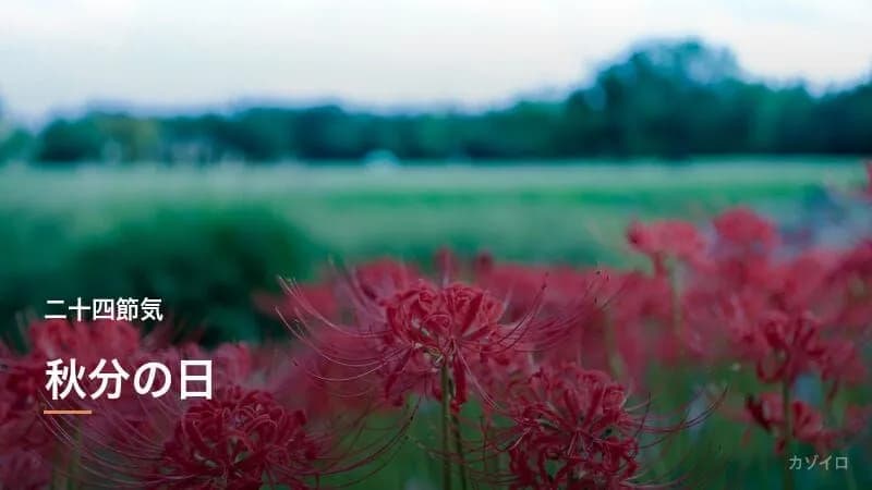 秋分の日とは？2027年はいつ？意味・お彼岸・食べ物の風習を解説