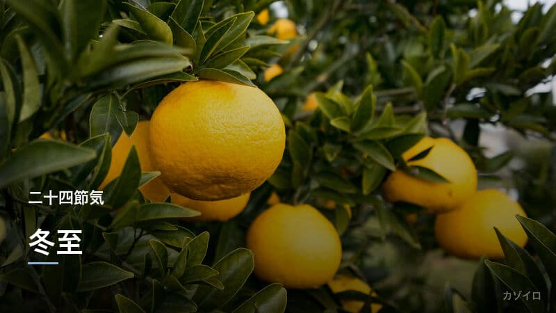 冬至とは？2026年はいつ？ゆず湯・かぼちゃの風習と一陽来復の意味のサムネイル画像