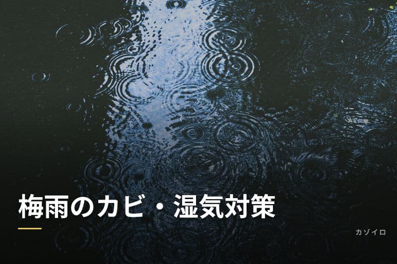 梅雨のカビ・湿気対策｜家を快適に保つ場所別のコツと暮らしの知恵のサムネイル画像