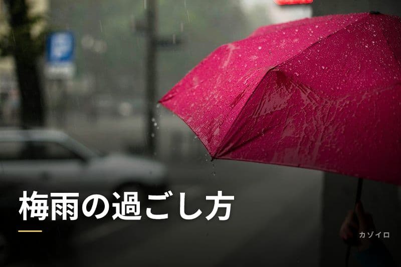 梅雨の過ごし方｜子どもと楽しむ雨の日アイデアと快適に暮らすコツのサムネイル画像