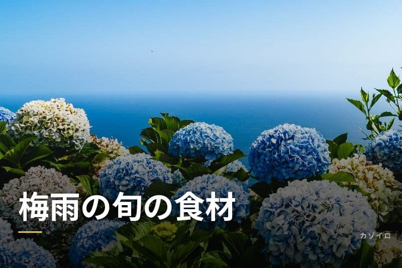 梅雨の旬の食材｜初夏においしい野菜・魚・果物と食べ方をわかりやすく解説のサムネイル画像