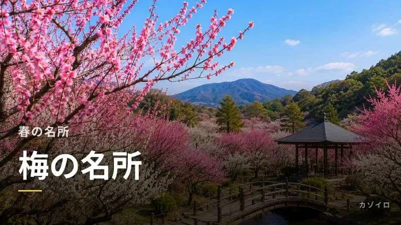 梅の名所おすすめ15選｜全国の見頃時期と梅まつり・絶景スポットを紹介
