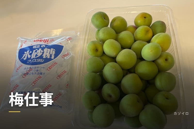 梅仕事とは？初心者向け梅干し・梅シロップの作り方と時期を解説のサムネイル画像