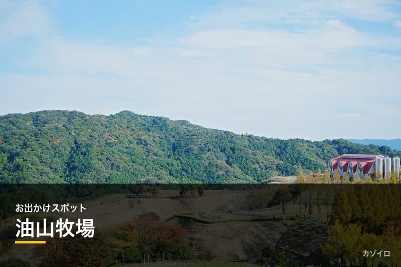 油山牧場は1歳児とのお出かけに最適|福岡の親子スポットを徹底紹介のサムネイル画像
