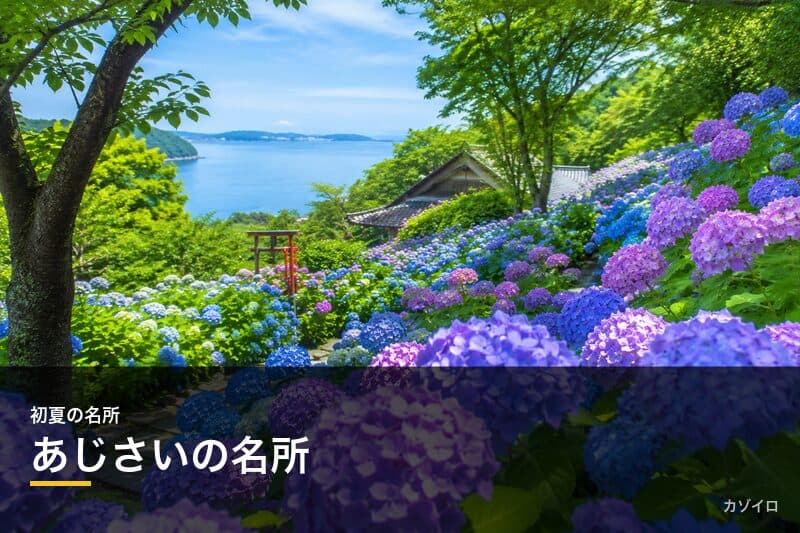 紫陽花(あじさい)の名所15選|全国の見頃時期と絶景スポットを紹介のサムネイル画像