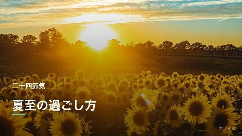 夏至の過ごし方|一年で昼が最も長い日の楽しみ方とおすすめの習慣を解説