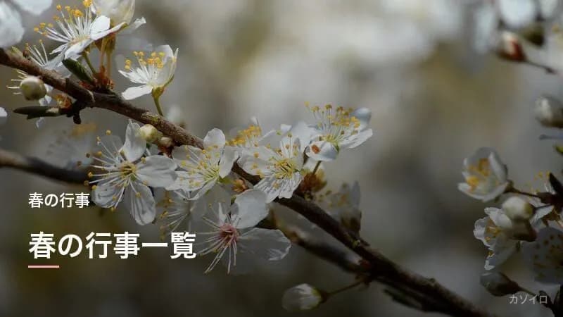 春の行事一覧|3月・4月・5月の伝統行事の意味・由来と過ごし方まとめ【2027年版】