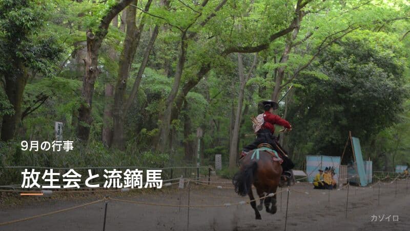 放生会とは?殺生を戒める仏教行事の由来・筥崎宮の流鏑馬の見どころを解説