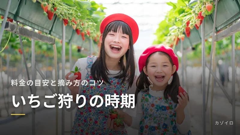 いちご狩りの時期と楽しみ方|料金の相場・上手な摘み方とおいしく食べるコツ