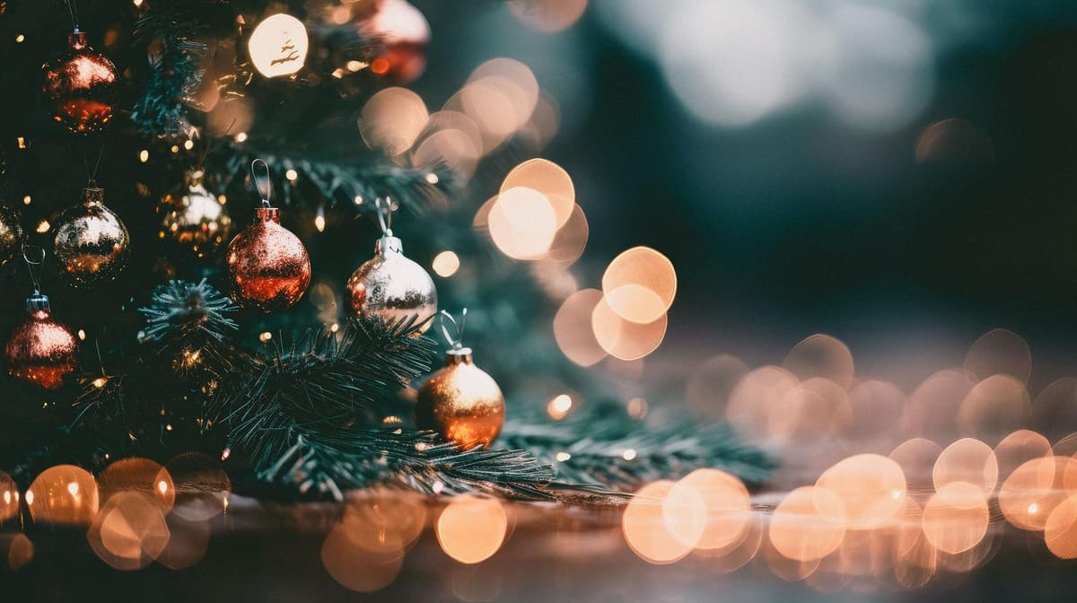 クリスマスの温かなイルミネーション