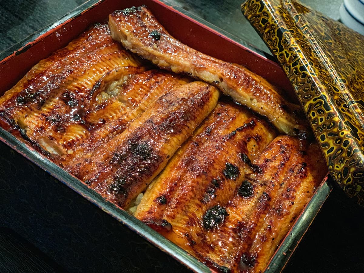うなぎの蒲焼き重箱