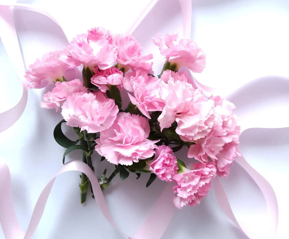 ピンクのカーネーションの花束