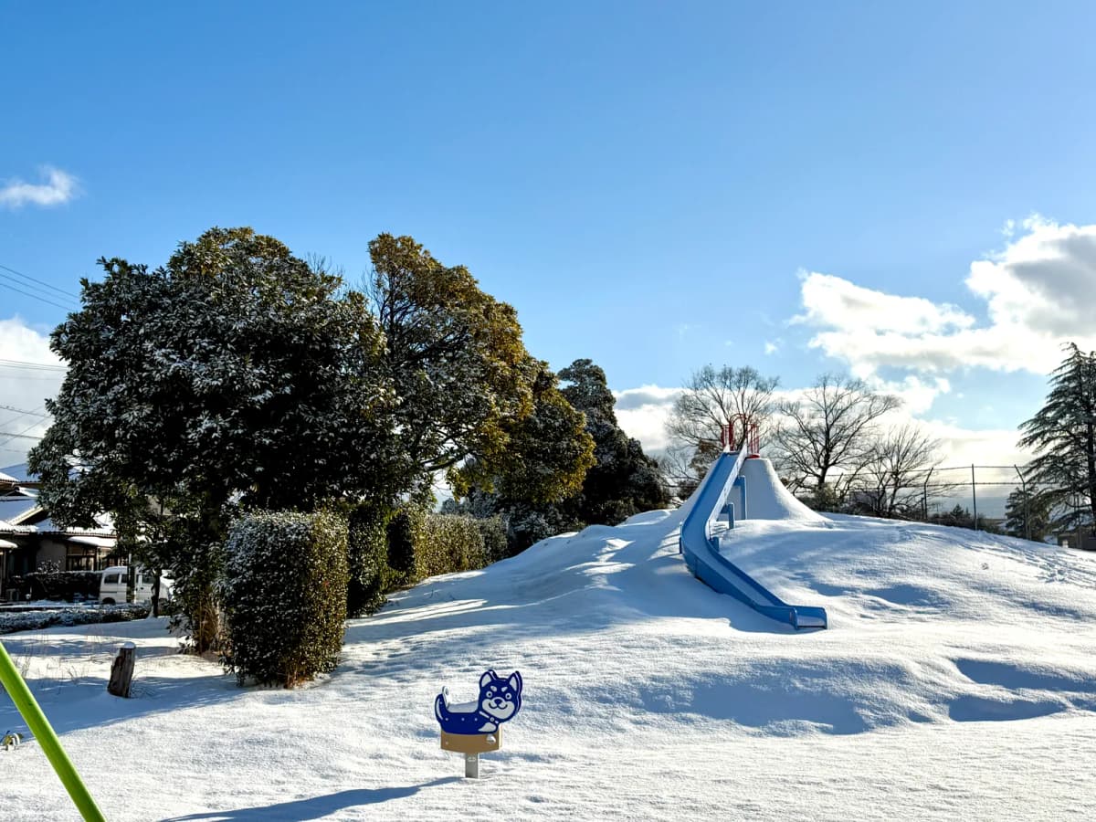 雪が積もった朝の公園