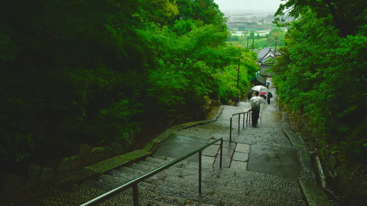雨の参道