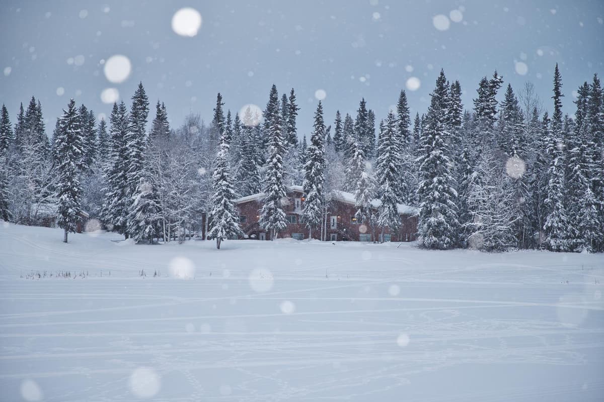 雪景色