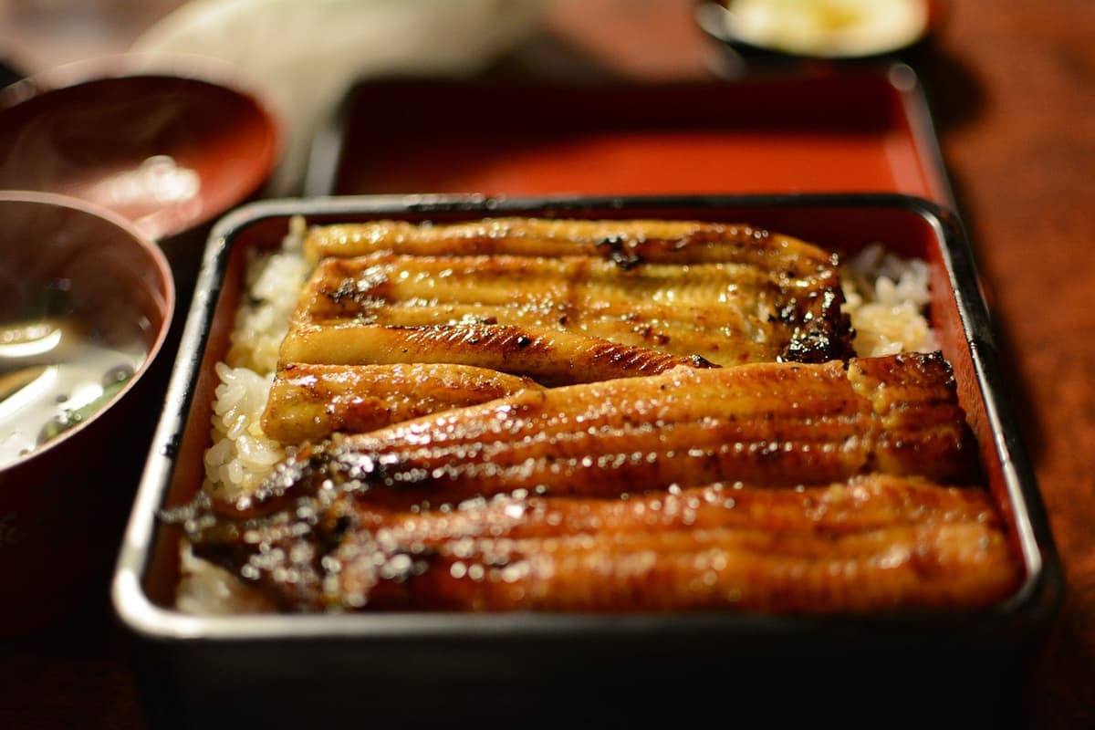 香ばしく焼かれたうな重のクローズアップ