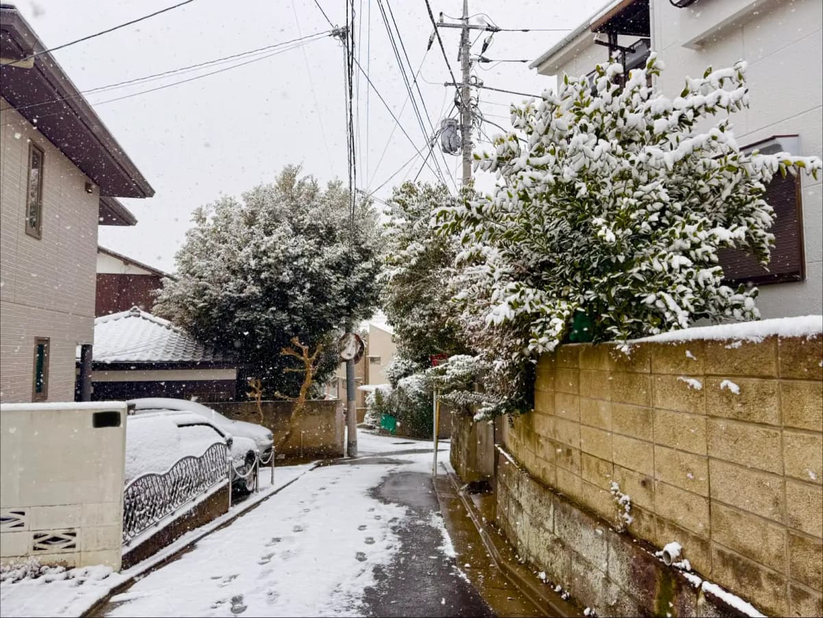 雪が積もった住宅街