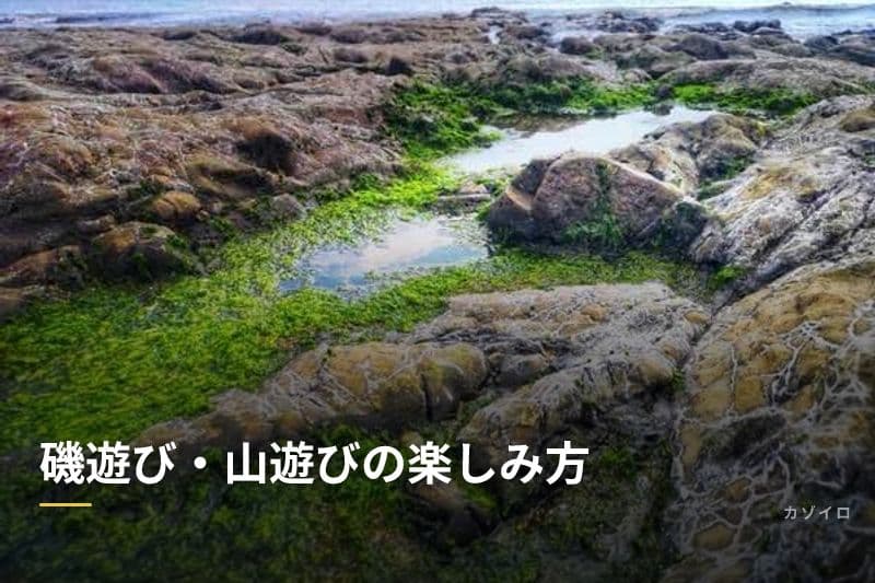 磯遊び・山遊びの楽しみ方|親子向けの道具・服装・注意点を解説のサムネイル画像