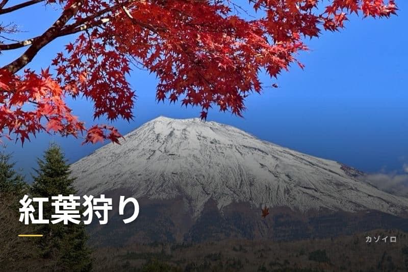 紅葉狩りの見頃の時期・きれいに色づく条件・楽しみ方を解説