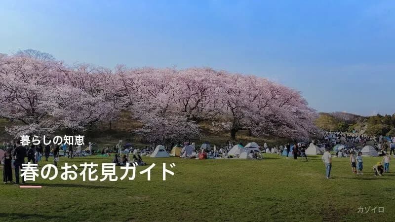 4月の行事一覧|卯月の伝統行事・旬の食べ物・お花見の楽しみ方まとめ