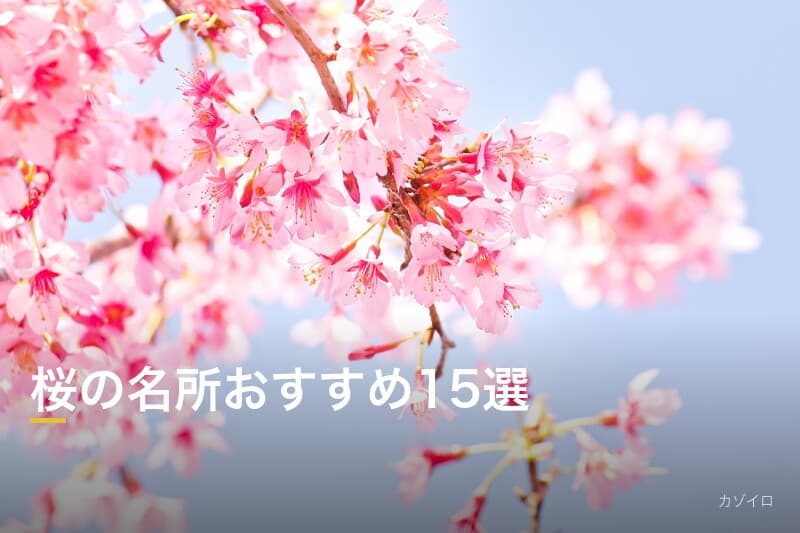桜の名所おすすめ15選|全国のお花見スポットと見頃時期を紹介【2026年版】