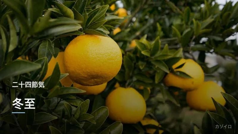 12月の行事一覧|師走の伝統行事・冬至・年末の過ごし方まとめ